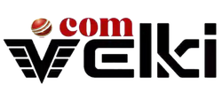Velki Logo