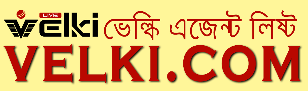 Velki Logo